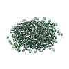 6/0 Glass Seed Beads SEED-YW0001-25F-2