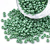8/0 Czech Opaque Glass Seed Beads SEED-N004-003A-02-1