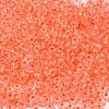 6/0 Transparent Glass Seed Beads SEED-F003-03A-11-3
