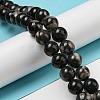 Natural Black Fossil Coral Beads Strands G-R494-A04-04-4