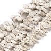 Synthetic Howlite Beads Strands TURQ-F018-04-1