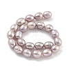 Natural Cultured Freshwater Pearl Beads Strands PEAR-P062-08J-3