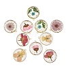10Pcs 5 Colors Transparent Clear Epoxy Resin Pendants RESI-YW0005-03-1