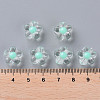 Transparent Acrylic Beads TACR-S152-06A-SS2111-4