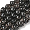 Natural Ice Obsidian Beads Strands G-P590-A03-12mm-02-2