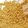 Cylinder Seed Beads X-SEED-H001-H22-1
