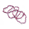 Natural Mixed Gemstone Bead Stretch Bracelets BJEW-K213-M03-2