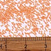 MIYUKI Delica Beads X-SEED-J020-DB2047-4