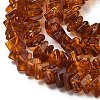 Natural Amber Beads Strands G-K376-C01-01-4
