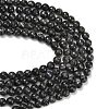 Natural Larvikite Beads Strands G-C280-B06-12mm-5