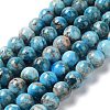Natural Apatite Beads Strands G-G858-01C-1