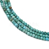 Natural HuBei Turquoise Beads Strands G-C181-A01-01-4