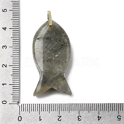 Natural Labradorite Pendants KK-D021-05H-G-1
