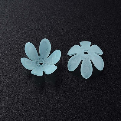 Transparent Acrylic Beads MACR-S373-47-D07-1