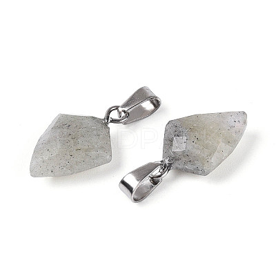 Natural Labradorite Pendants G-N349-18P-04-1