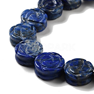 Natural Lapis Lazuli Beads Strands G-D475-01F-1