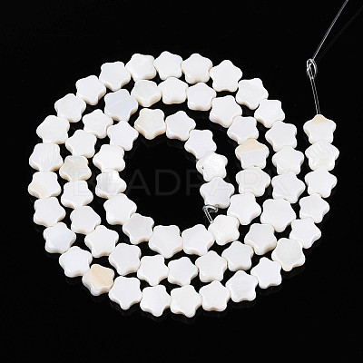 Natural Freshwater Shell Beads Strands SHEL-N027-02-01-1
