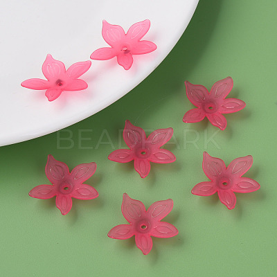 Transparent Acrylic Beads MACR-S373-127-D01-1