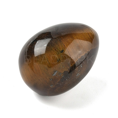 Natural Tiger Eye Egg Shape Display Decorations G-Z094-01I-1