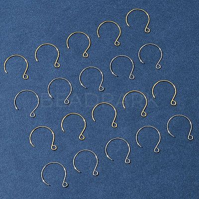 24Pcs 2 Colors Ion Plating(IP) 304 Stainless Steel Earring Hooks STAS-FS0001-65-1