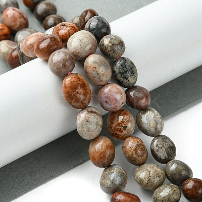 Natural Fossil Coral Beads Strands G-G117-A01-02-1