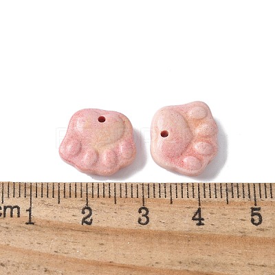 Natural Rainbow Alashan Agate Charms G-G194-01C-1