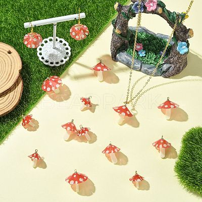 15Pcs 3 Styles Plastic Pendants KY-CJ0002-13-1