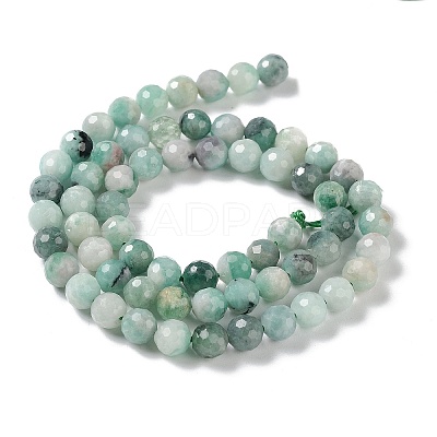 Natural Emerald Beads Strands G-P514-A06-04-1