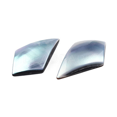 Natural Turbo Cornulus/Top Shells Cabochons SSHEL-N003-154-1