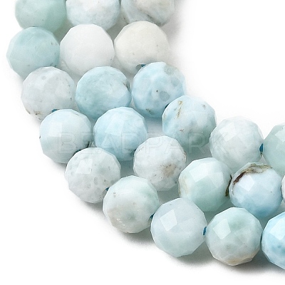 Natural Larimar Beads Strands G-F785-B01-02-1