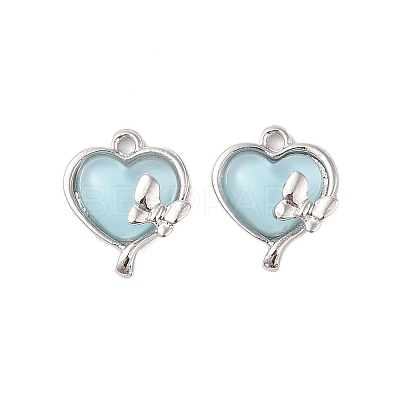 Alloy & Resin Pendants LS-FIND-Z053-04B-04-1