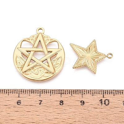 10Pcs 304 Stainless Steel Pendants STAS-T075-19G-1