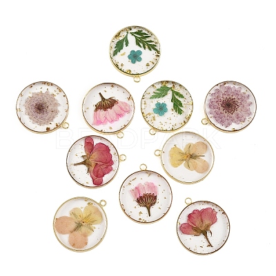 10Pcs 5 Colors Transparent Clear Epoxy Resin Pendants RESI-YW0005-03-1