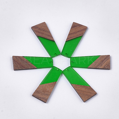 Resin & Walnut Wood Pendants RESI-S358-83E-1