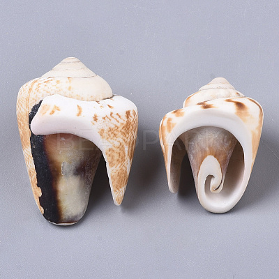 Natural Spiral Shell Beads SSHEL-S258-82-1