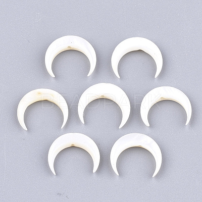 Freshwater Shell Beads SHEL-T012-12-1
