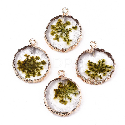 Transparent Clear Epoxy Resin & Dried Flower Pendants RESI-S383-075-C02-1