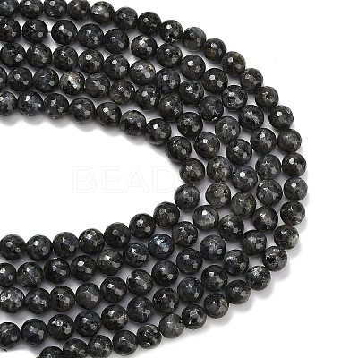 Natural Larvikite Beads Strands G-C280-B06-12mm-1