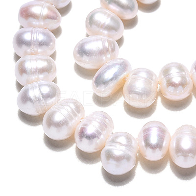 Natural Cultured Freshwater Pearl Beads Strands PEAR-N013-05F-1