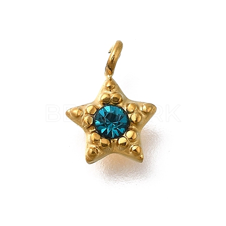304 Stainless Steel Charms STAS-R159-58G-03-1