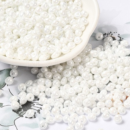 6/0 Glass Seed Beads X1-SEED-M012-01A-16-1