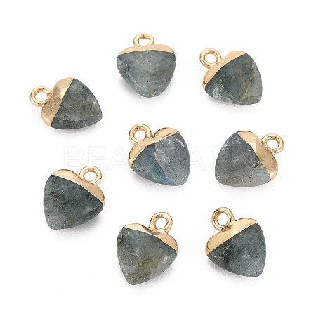 Natural Labradorite Charms G-N326-121-05-1
