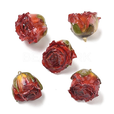 Brass Epoxy Resin Pendants FIND-D043-01G-02-1