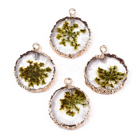 Transparent Clear Epoxy Resin & Dried Flower Pendants RESI-S383-075-C02-1
