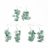 Dangle Earrings EJEW-E255-A10-2