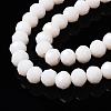 Opaque Solid Color Glass Beads Strands X-EGLA-A034-P6mm-D17-2