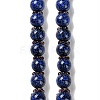Handmade Lampwork Beads Strands LAMP-Q036-06B-1