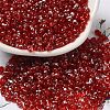 Spray Painted Glass Seed Beads SEED-F005-06A-05-1