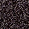 TOHO 8/0 Round Beads SEED-XTR08-0406F-2