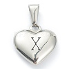 304 Stainless Steel Pendants STAS-P278-01X-P-1
